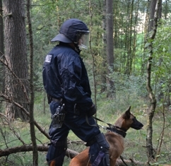 Diensthundführer mit Diensthund im Einsatz